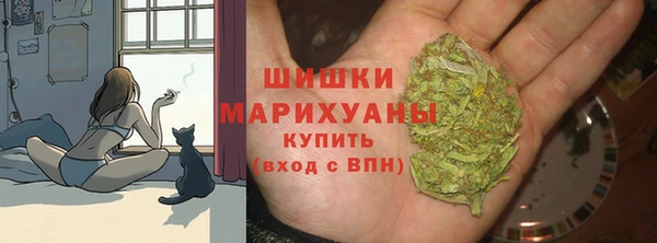 дмт Богородицк