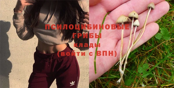 бутират Богородск