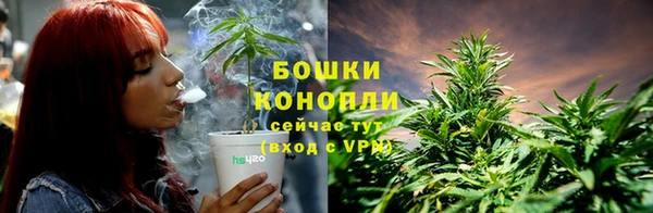 гидропоника Бородино